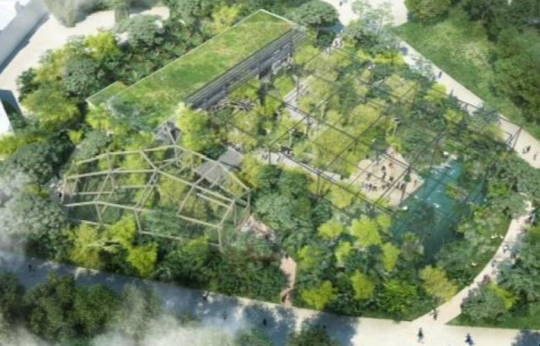 Projet : La Forêt d'Asie au Parc de la Tête d'Or de Lyon