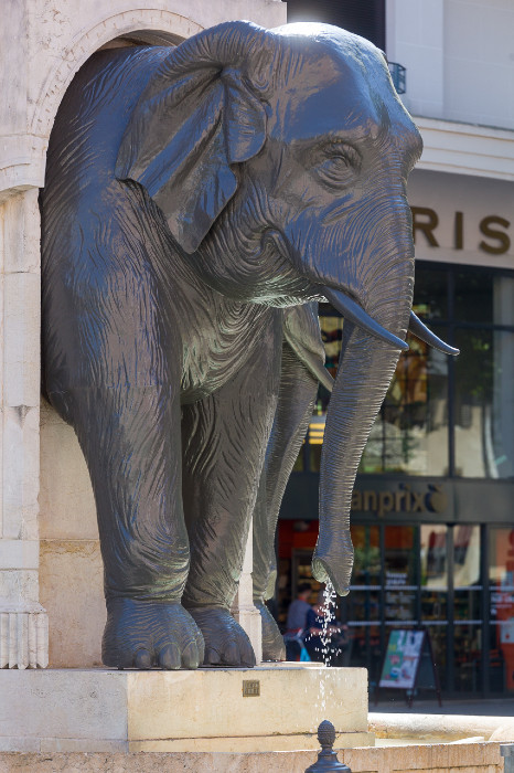 Place des Elephants 5