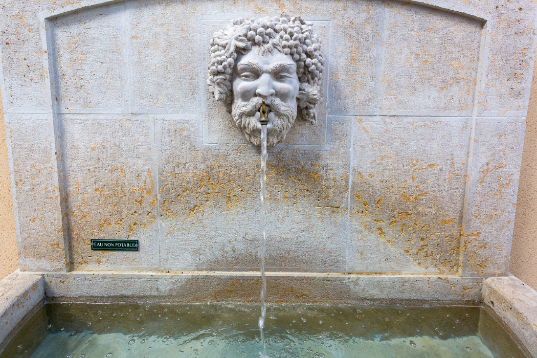 Hameau Duboeuf et sa tête de Bacchus 1