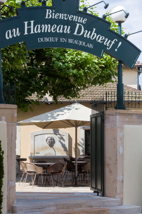 Hameau Duboeuf et sa tête de Bacchus 2