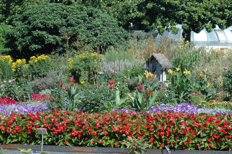 Arrosage Jardin Botanique du Parc de la tête d'Or
